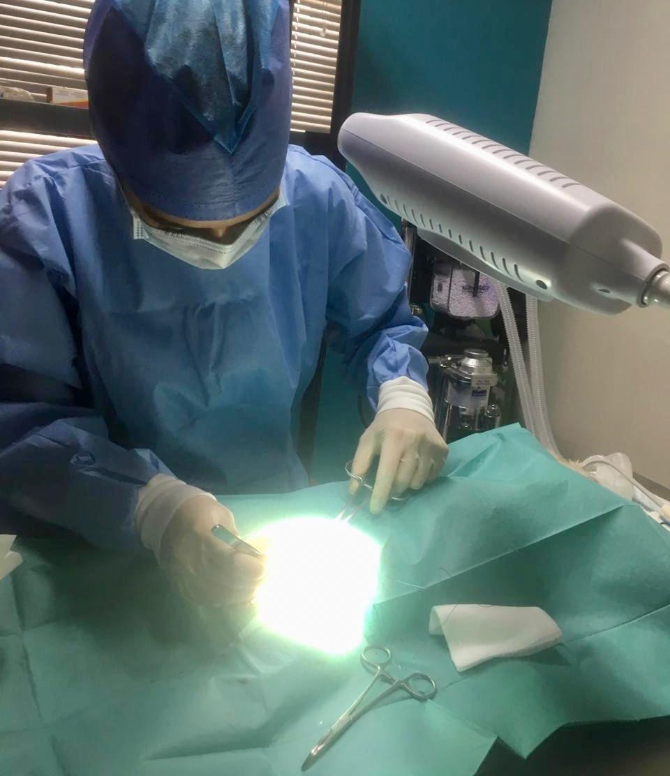 Best for pets quirofano, operacion
