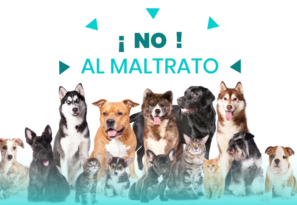 No al maltrato animal.