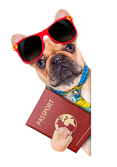 perro-pasaporte-turismo-veterinario.png
