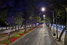 Reforma-AP-Camellon-001.jpg