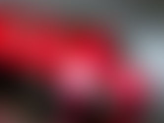 LEXUS IS-F 再入荷🎵