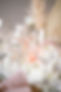 VSO-(4of84).jpg