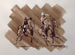 Polo 6