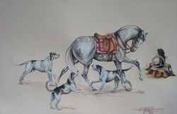 cheval et chiens. d'ap.M. Oussedik