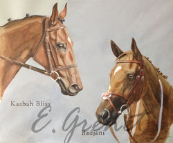 portrait de chevaux