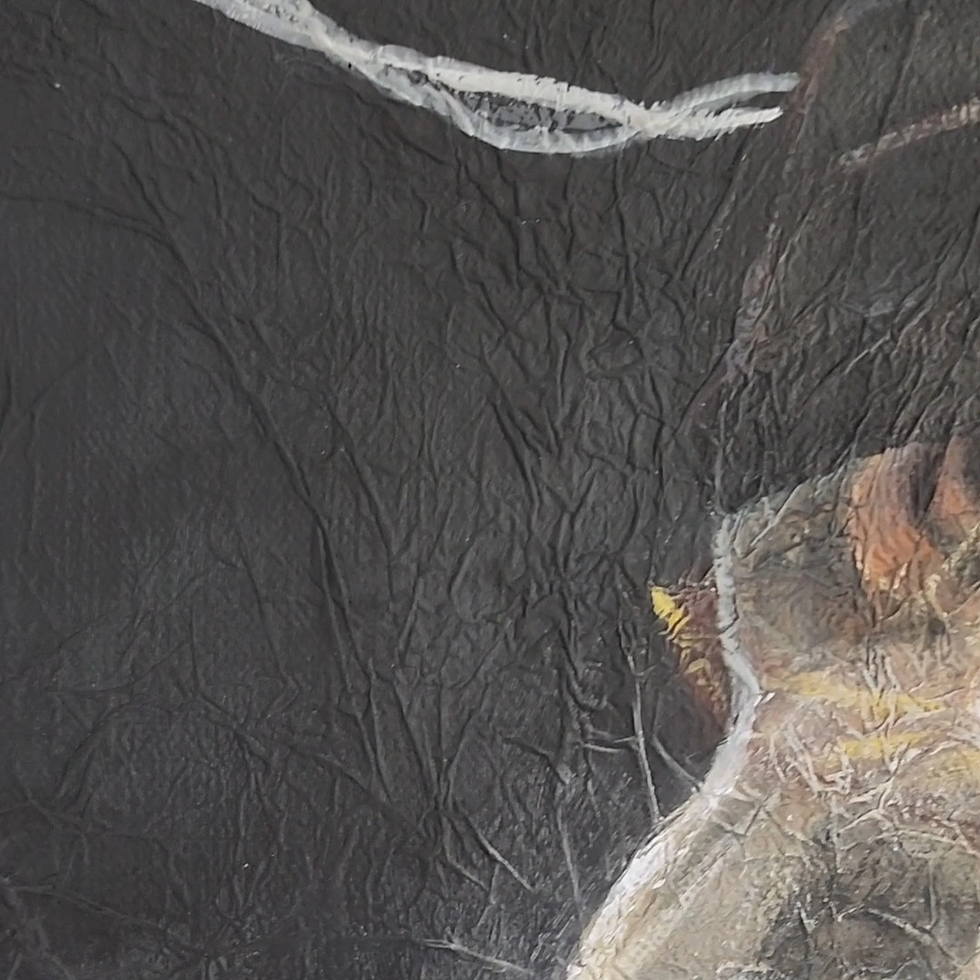 Thumbnail: Drawn to the Light 