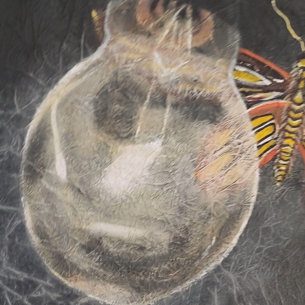 Thumbnail: Drawn to the Light 