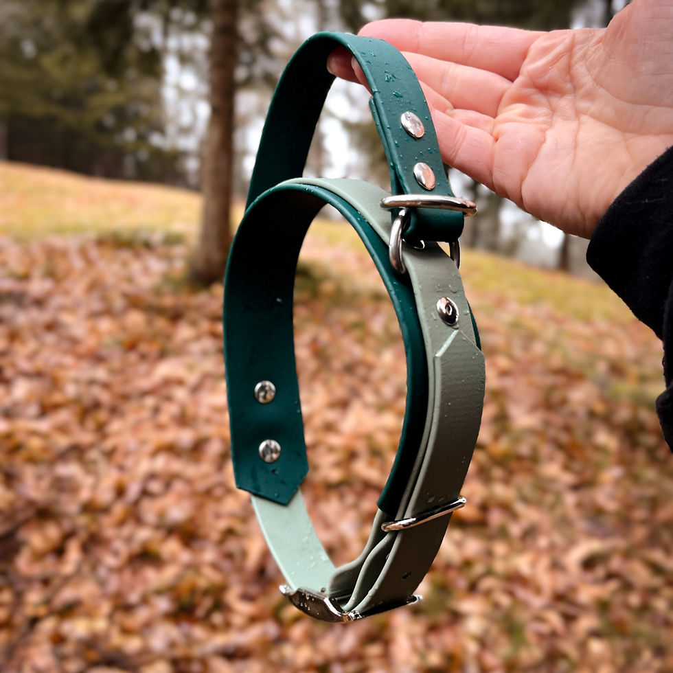 Sličica: Comfortable and durable Biothane collar with reinforced stitching and handle.