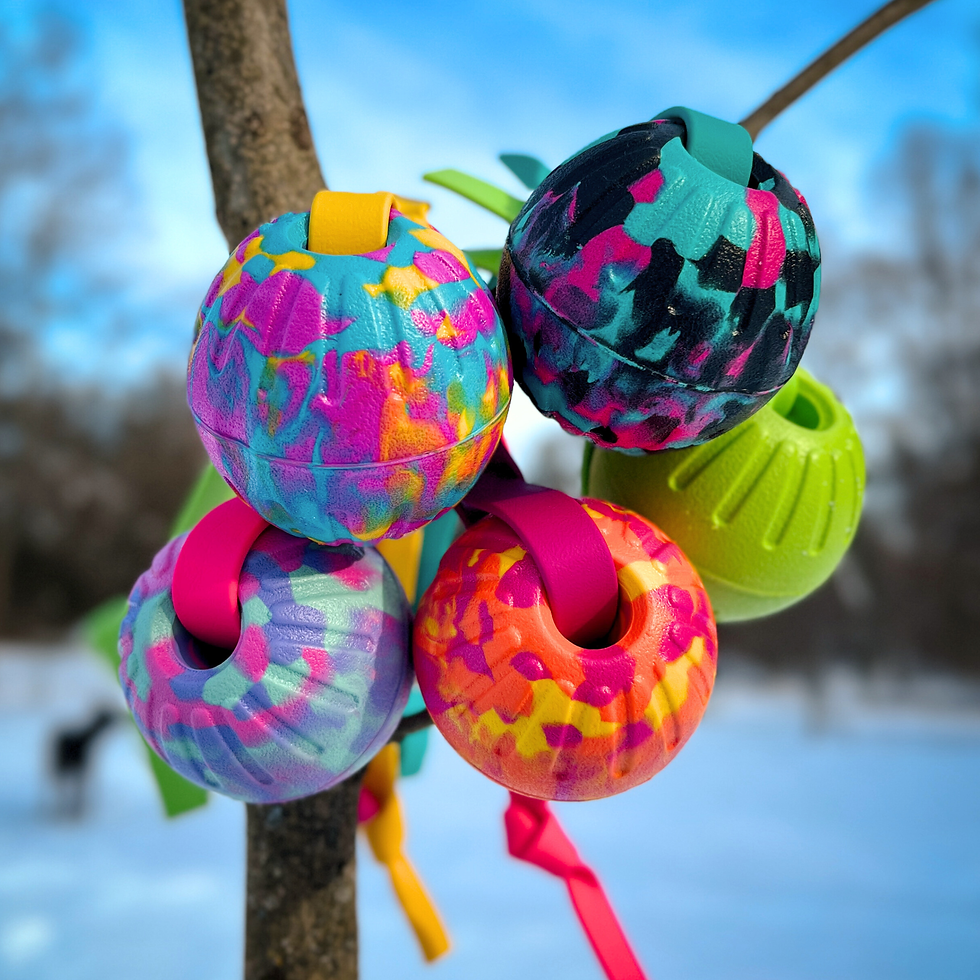 Sličica: Floating foam dog ball designed for water and outdoor fetch