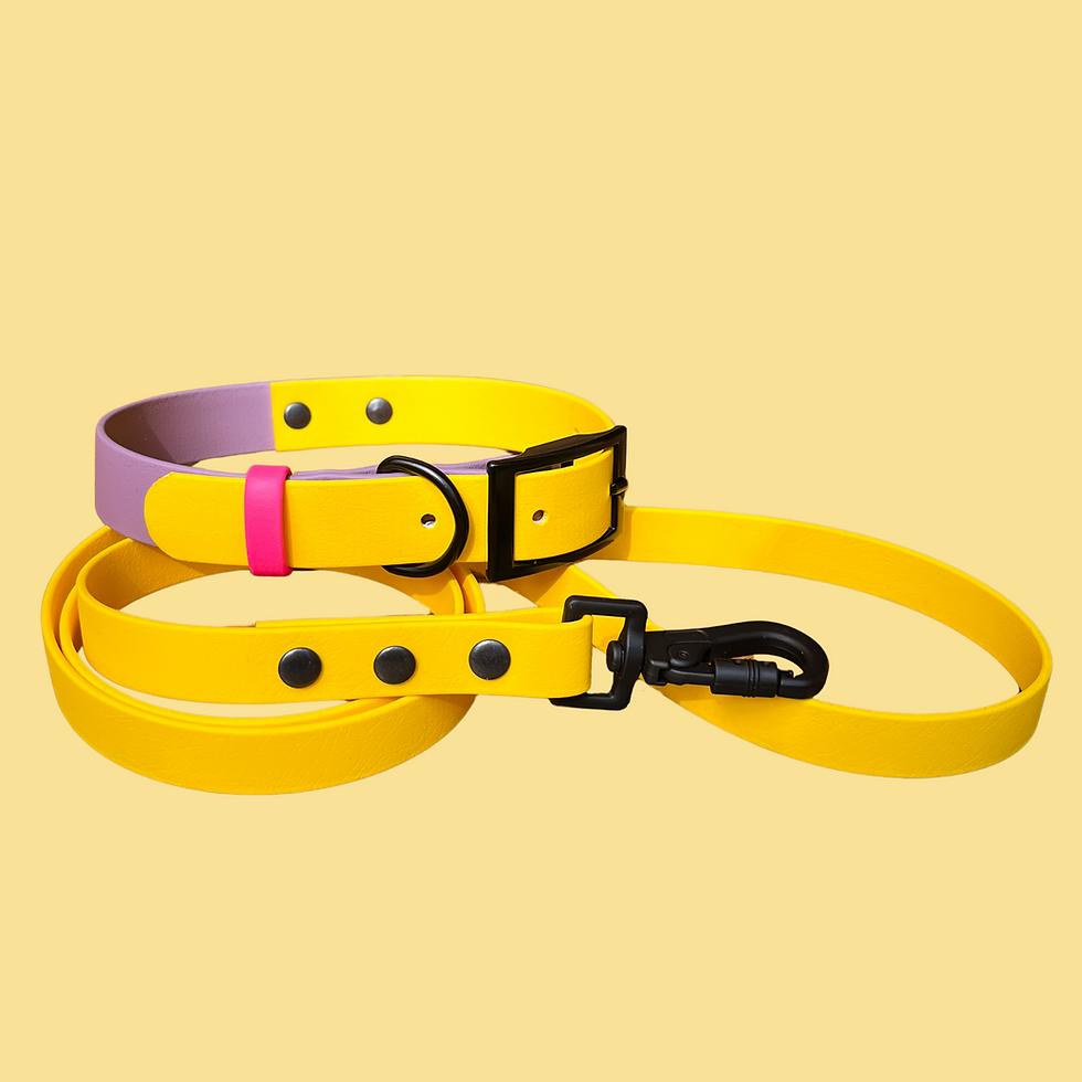 Thumbnail: Vibrant yellow Sunny BioThane® Leash and collar set .