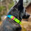 Sličica: Close-up of the Tutti Frutti Apple Biothane® dog collar, highlighting its waterproof and easy-to-clean design.