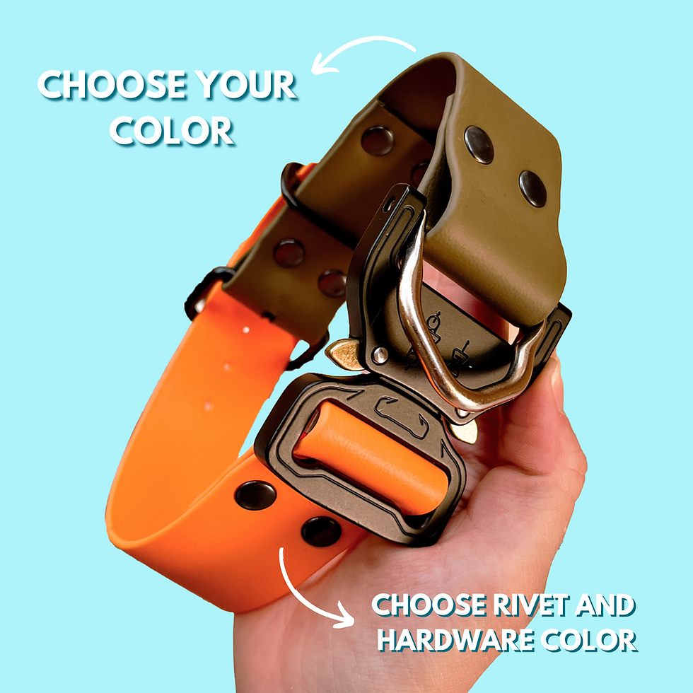 Two Color Biothane Collar with Quick Release Buckle