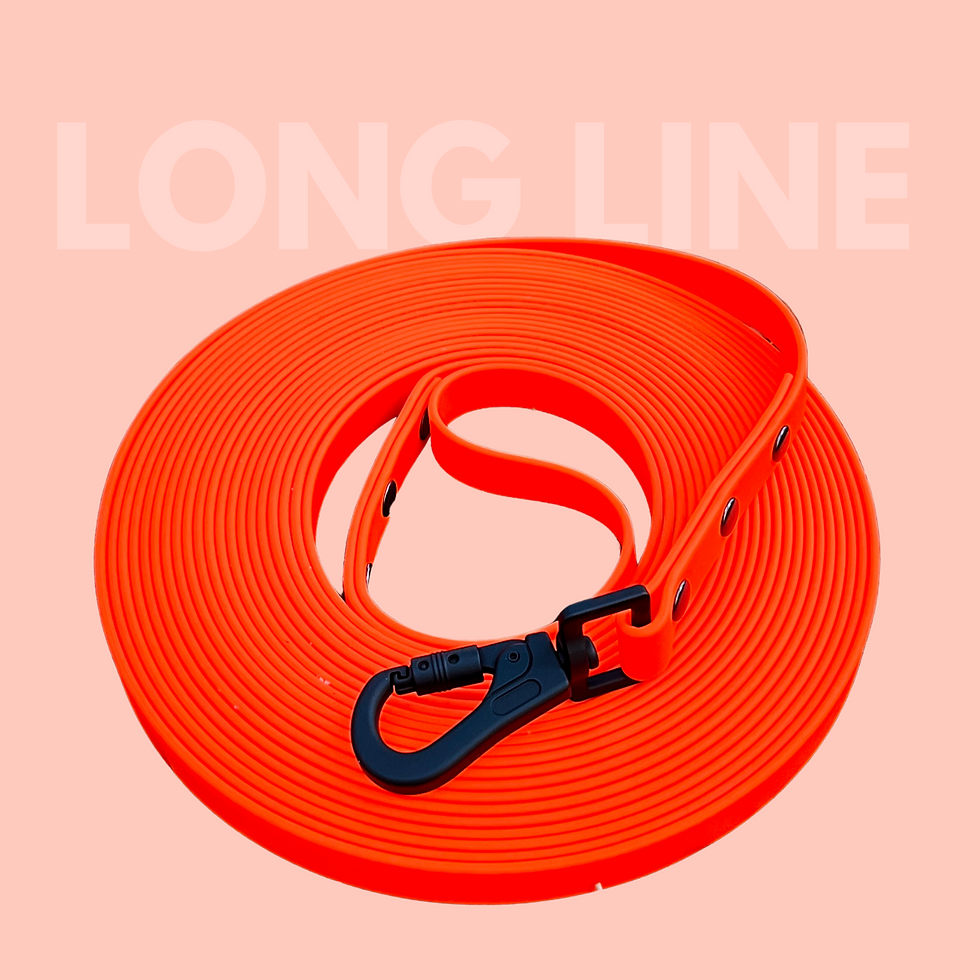 Durable Biothane long tracking leash in vibrant blue color designed for training and outdoor activities.