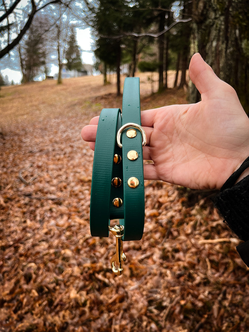 Thumbnail: High-quality BioThane® dark green leash with a smooth texture, strong grip, and rust-resistant brass hardware.