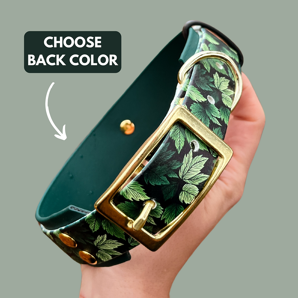Custom Leaf Double Layer Biothane® Dog Collar with a vibrant UV-printed leaf pattern, perfect for adventurous pets.