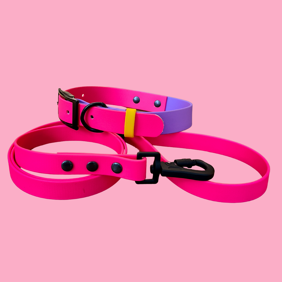 Thumbnail: Pinky BioThane® Leash paired with a matching pink collar.