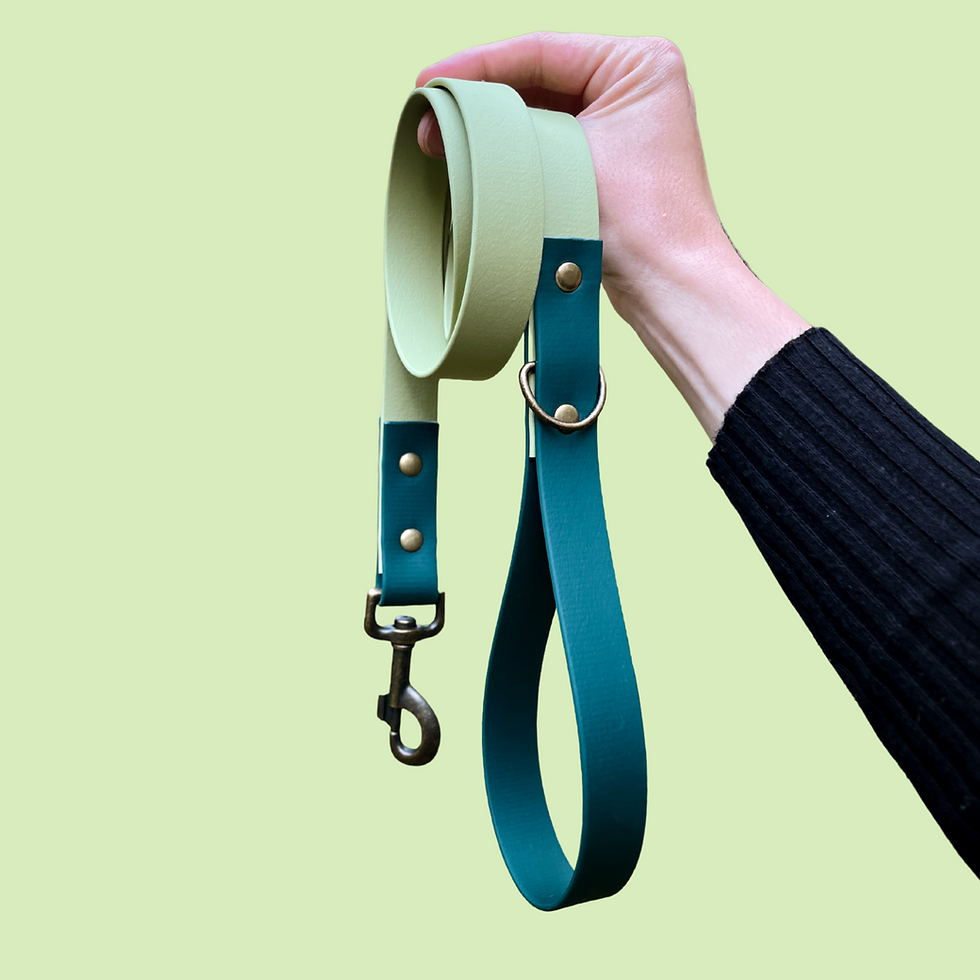 Two-tone green BioThane® dog leash shown in outdoor setting, emphasizing vibrant color and rugged build.