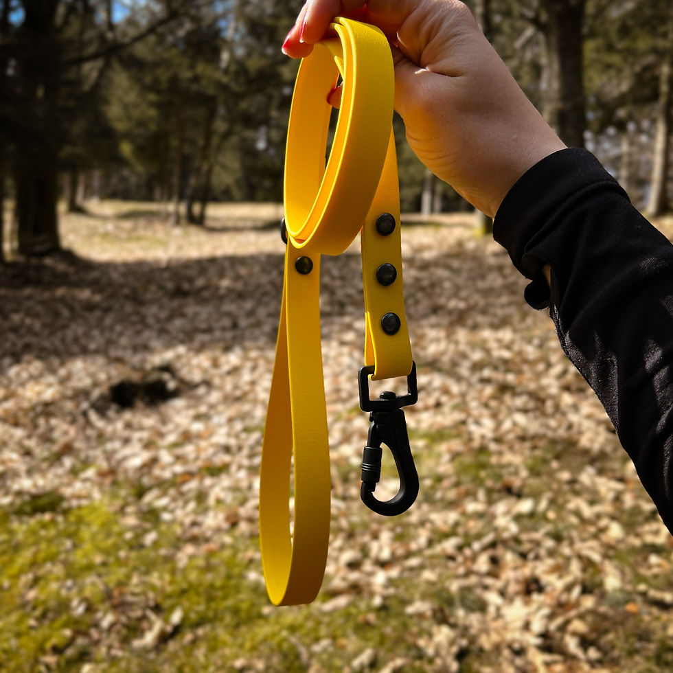 Thumbnail: Hands holding the Sunny BioThane® Leash, highlighting its flexible material.