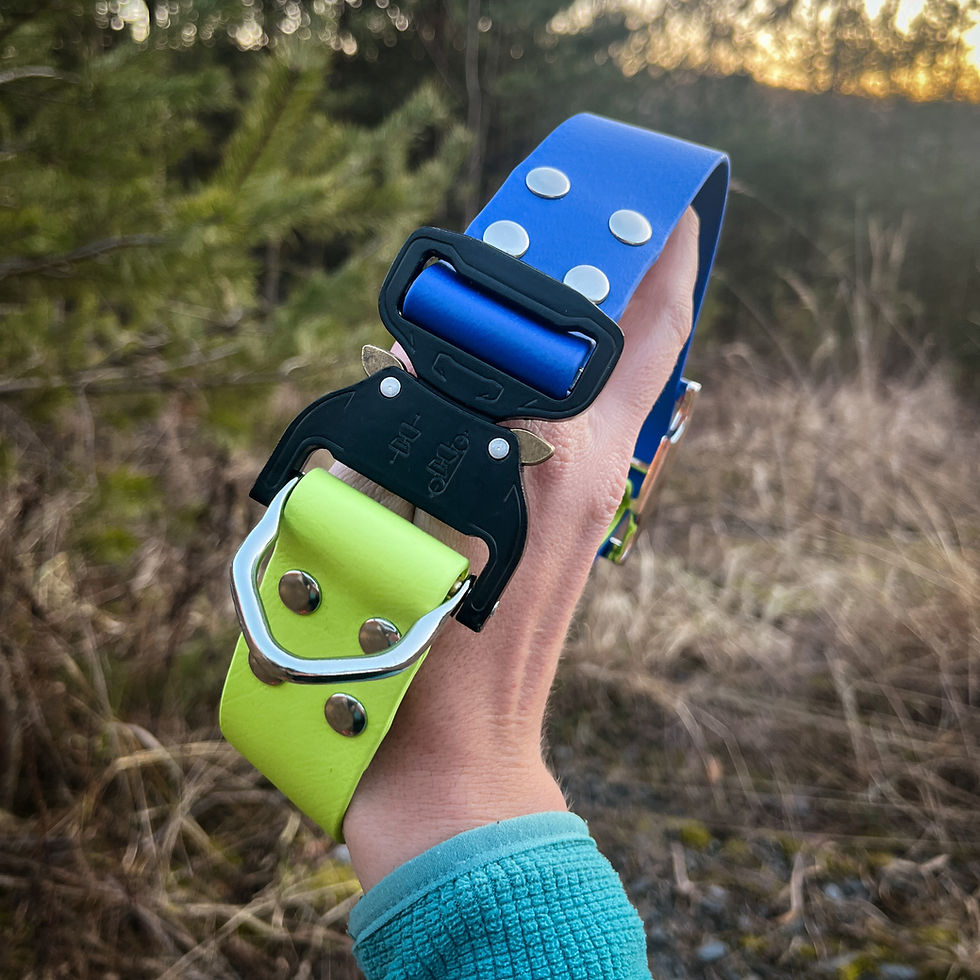 Sličica: Blue and Green Biothane collar with quick release buckle