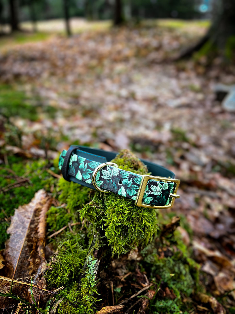 Thumbnail: Close-up of the waterproof and easy-to-clean Custom Leaf Biothane® Dog Collar, perfect for all-weather adventures.