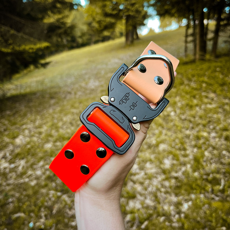 Thumbnail: Heavy-duty Spring Biothane collar with metal hardware and quick-release buckle, laid flat to show size adjustability.