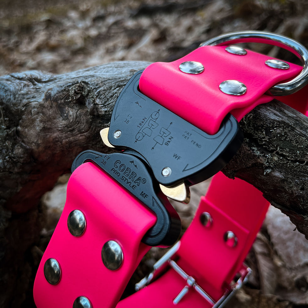 Thumbnail: Detail shot of cobra buckle on the Pink Viper collar