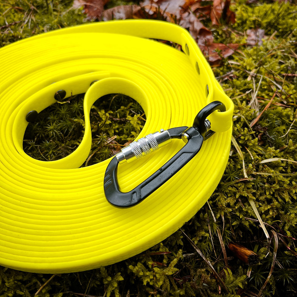 Thumbnail: Close-up of Hexa Long Leash’s durable Biothane material and hardware.