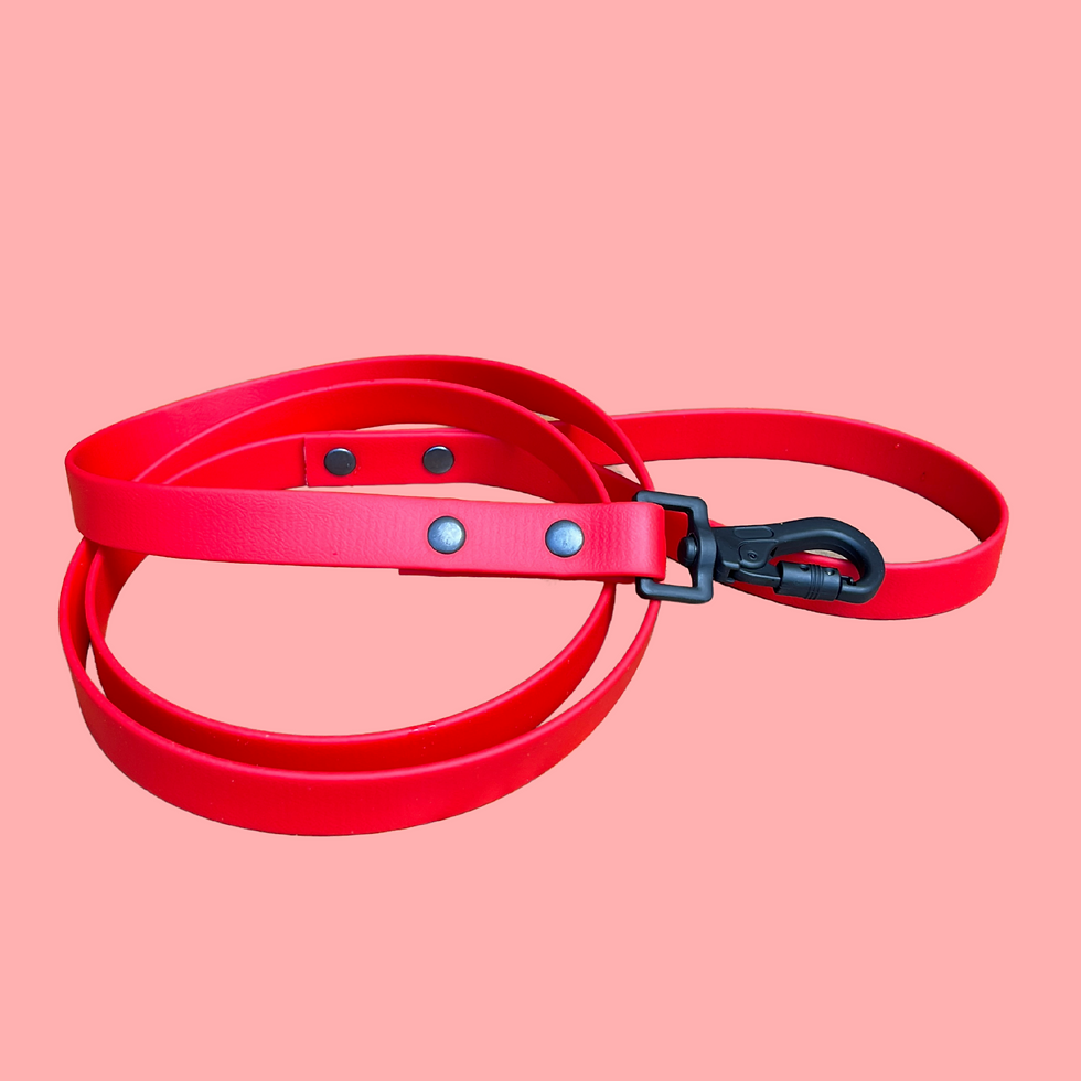 Close-up of a red BioThane® leash with a black metal clasp on a white background.