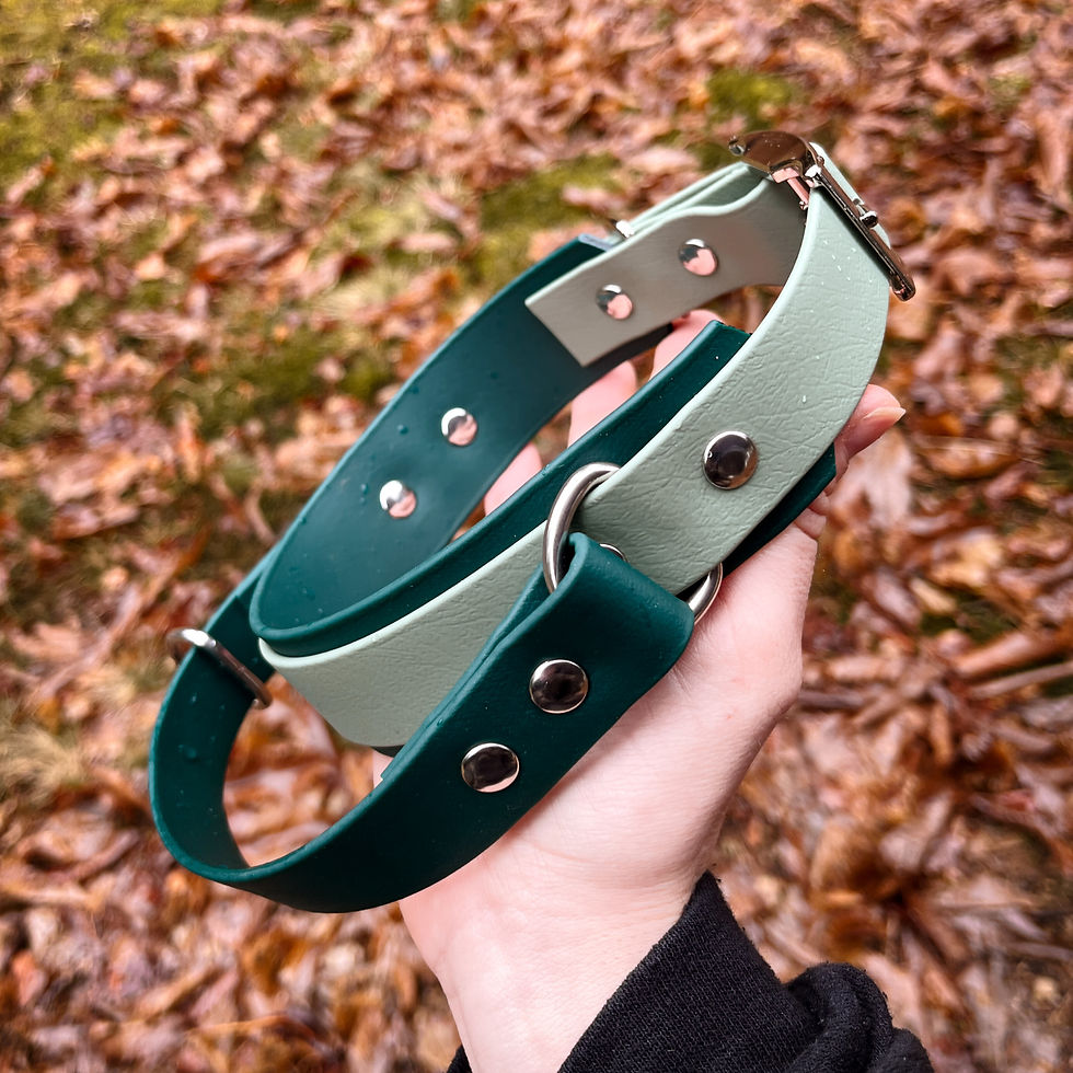 Sličica: Strong and stylish dog collar with handle, perfect for large and active dogs.