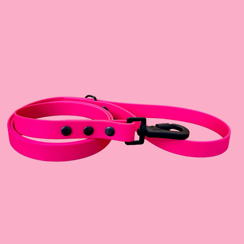 Pinky BioThane® Leash coiled neatly on a pink background.