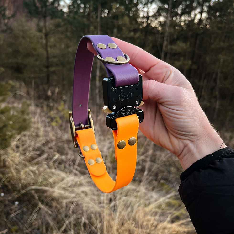 Sličica: Top view of custom BioThane® collar and COBRA buckle.