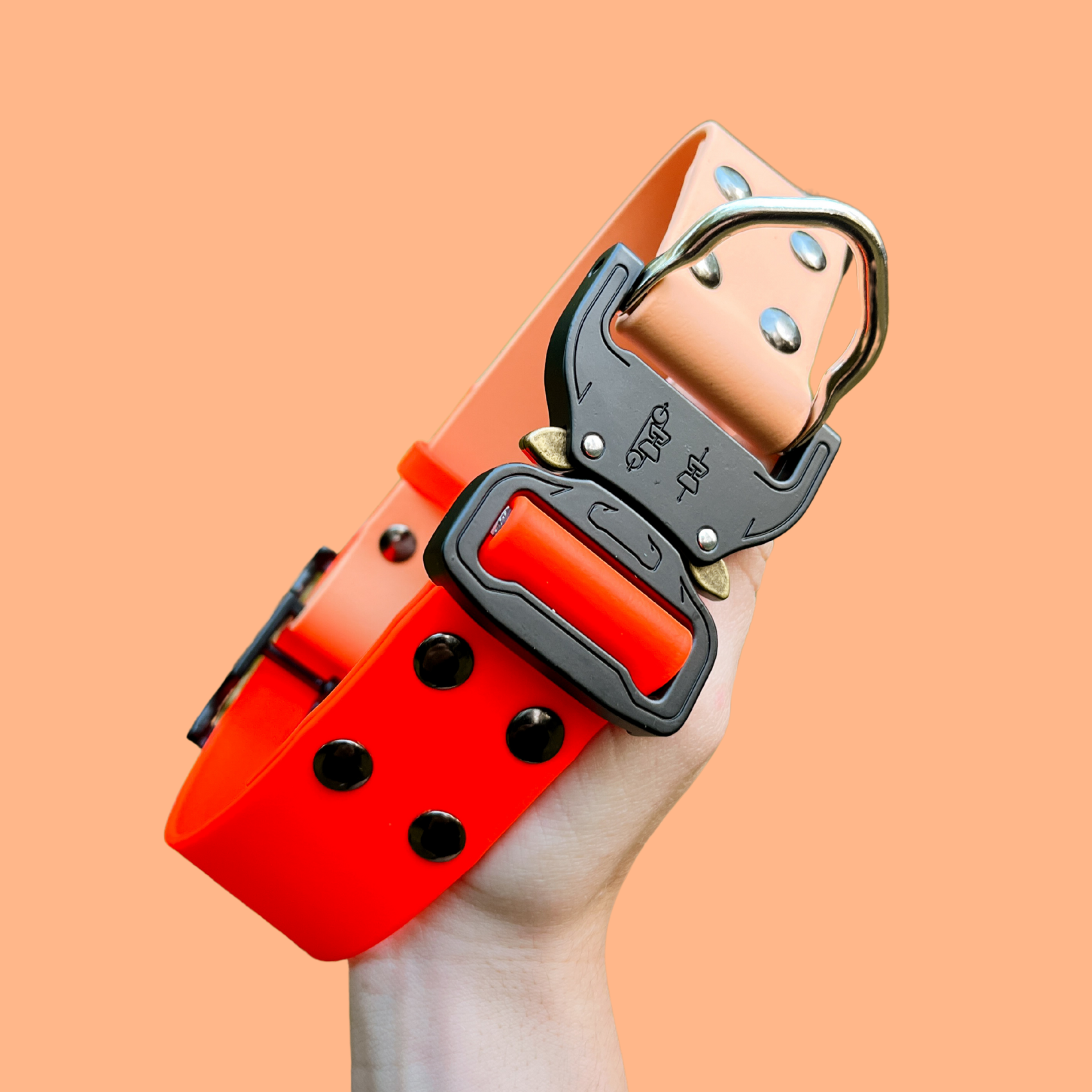 Spring-colored heavy-duty Biothane dog collar with cobra-style buckle, displayed coiled on a white background