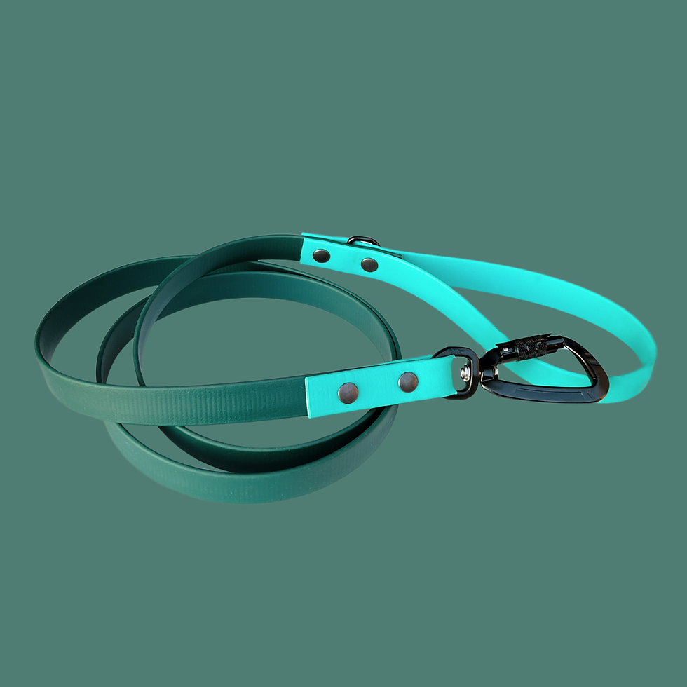 Sličica: Deep Bay BioThane® leash coiled on a wooden surface, showing waterproof finish.