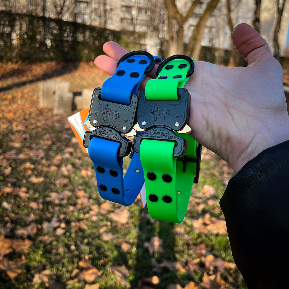 Thumbnail: Outdoor shot of a Custom BioThane® Collar with COBRA PRO Buckle, showcasing its durability and weatherproof design.