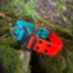 Close-up of BlazeWave BioThane® dog collar showing vibrant neon orange and teal color.