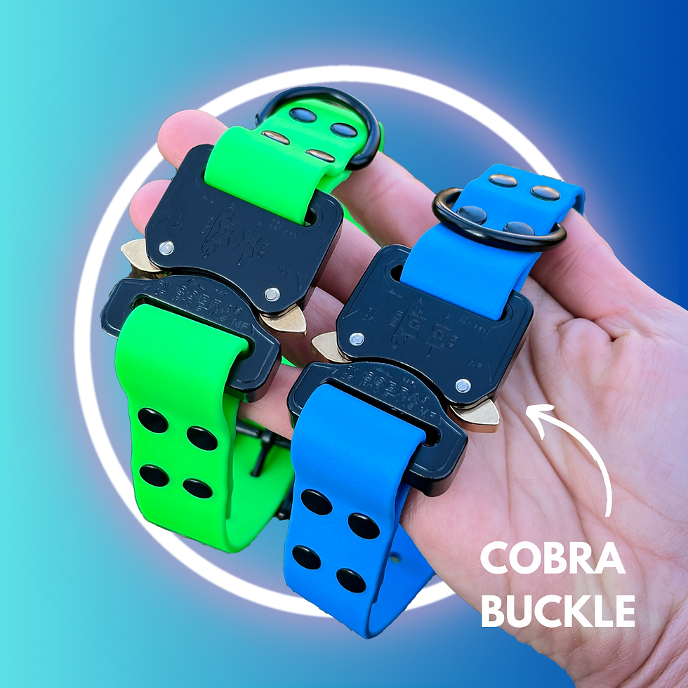 Custom 1-Color BioThane® Collar with COBRA PRO Buckle in sleek black, showcasing durable waterproof and odor-resistant materi