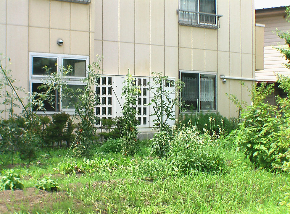 家庭菜園
