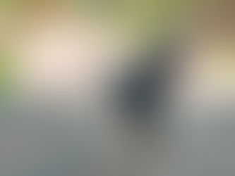 Top 5 Commands Every Dog Should Know