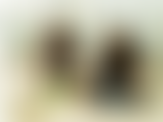 The Benefits Of Doggy Daycare & Professional Dog Walking