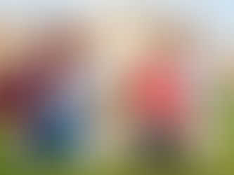 What To Expect When You’re Expecting: A New Dog Or Puppy