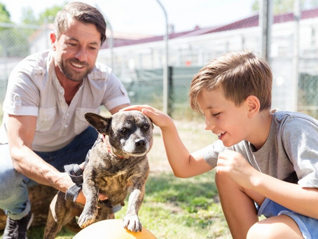 How To Approach A Dog You Don’t Know