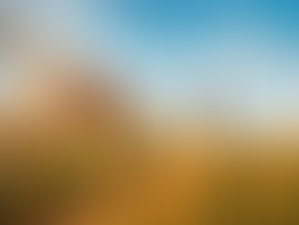 How Much Exercise Does Your Dog Need?