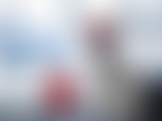 Planes, Trains, & Automobiles: Traveling With Your Dog