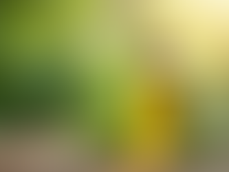 Boost Growth with Natural Hair Oils