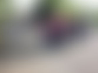 Abendexkursion 23.5.2014