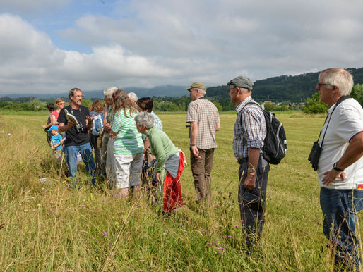 Schmetterlingsaktion in Rothrist (2016)