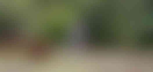 wo Beni bereits mit der Arbeit begonnen hat.