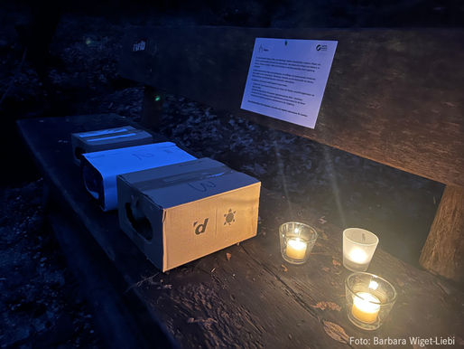 Nachtspaziergang vom 17.01.2025