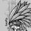 Miniatura: Indian Chief