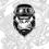Miniatura: Mad Monkey
